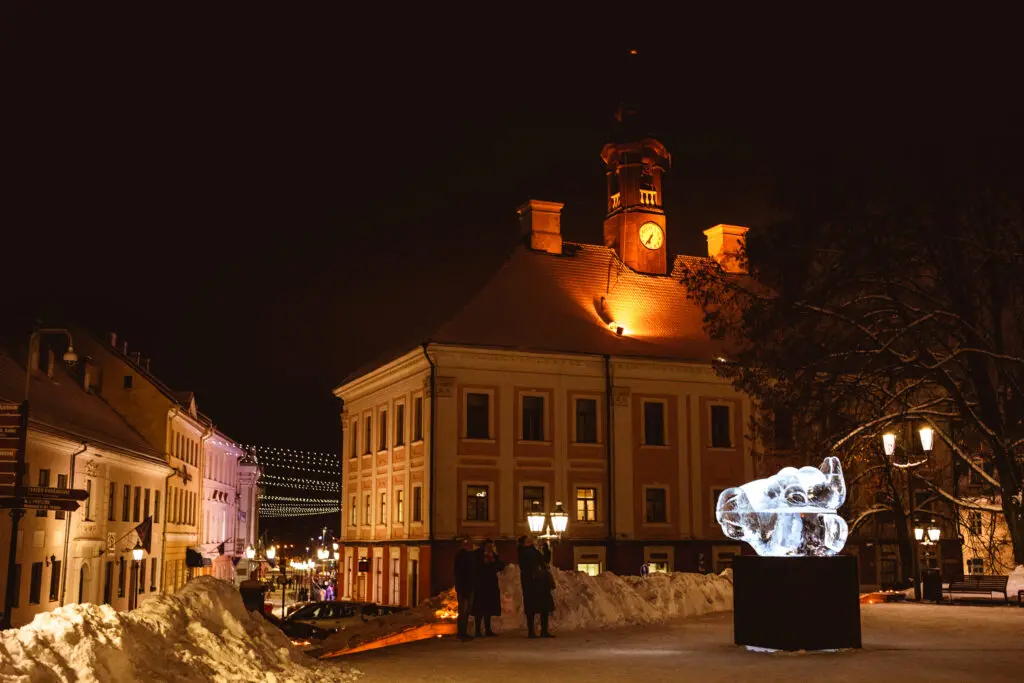 Maris Savik H2rgPirogovil2021 WEB 79