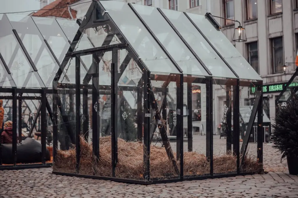 Valguskula 2020 2021 Tartu Joululinn 091
