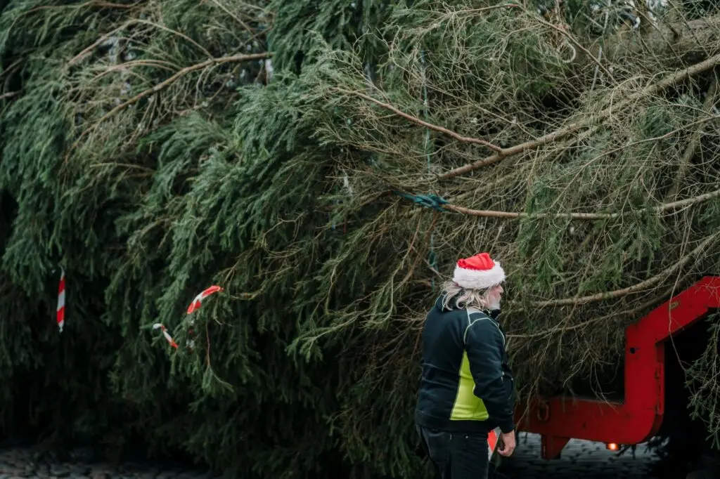 20211116 Mana Kaasik Jõululinna Ehitustööd 22