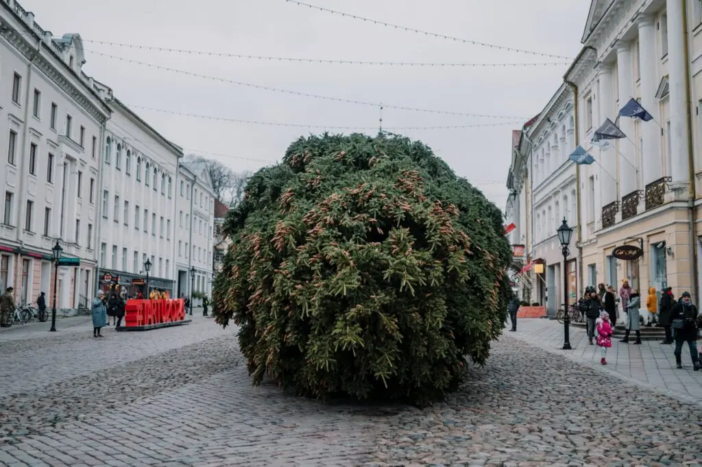 20211116 Mana Kaasik Jõululinna Ehitustööd 33