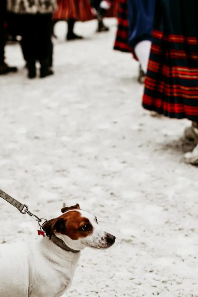 Tartu Talvine Tantsupaev 2021 F Eva Maria Tartu 001