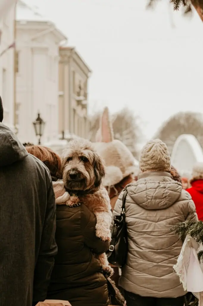 Tartu Talvine Tantsupaev 2021 F Eva Maria Tartu 003