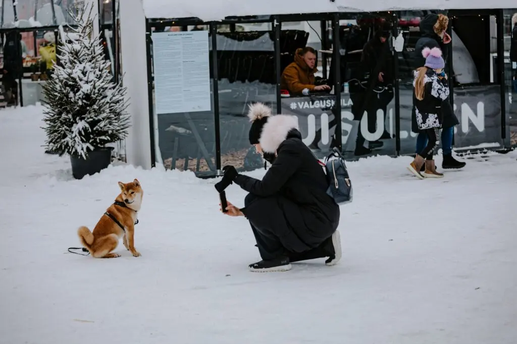 Joululinn Tartu 2021 2022 011