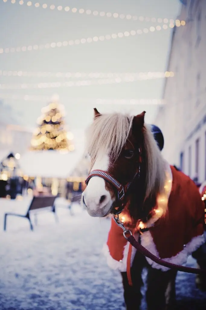 Joululinn Tartu 2021 2022 040