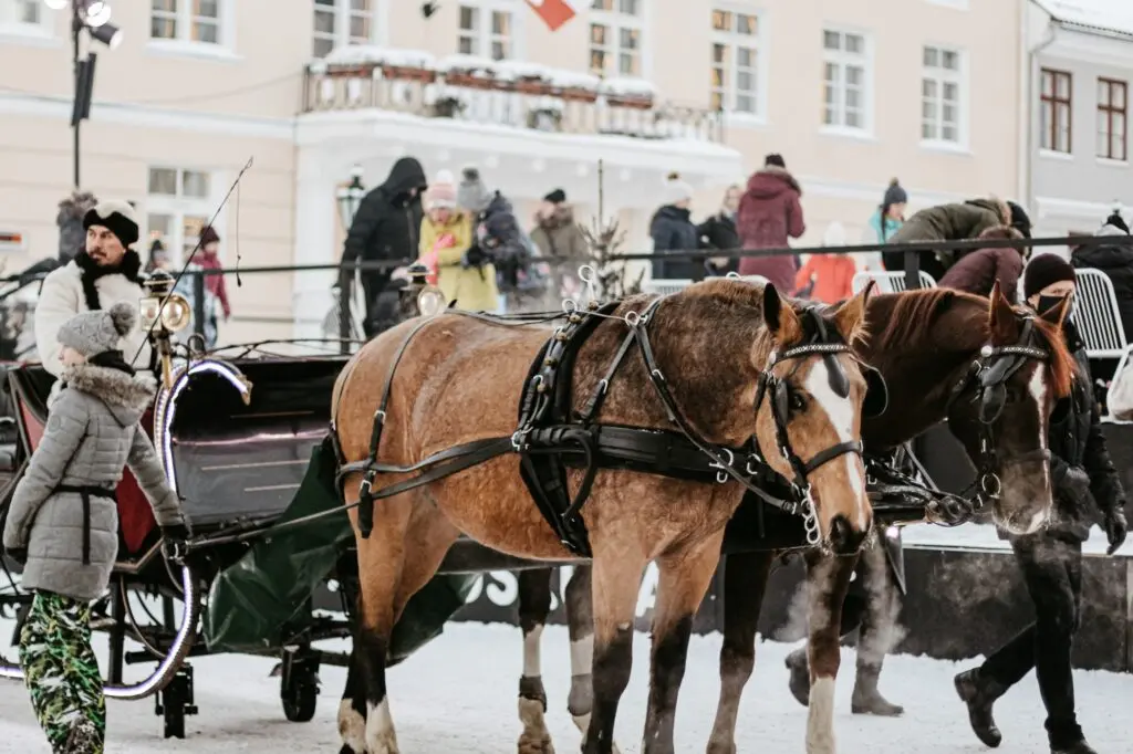 Joululinn Tartu 2021 2022 094