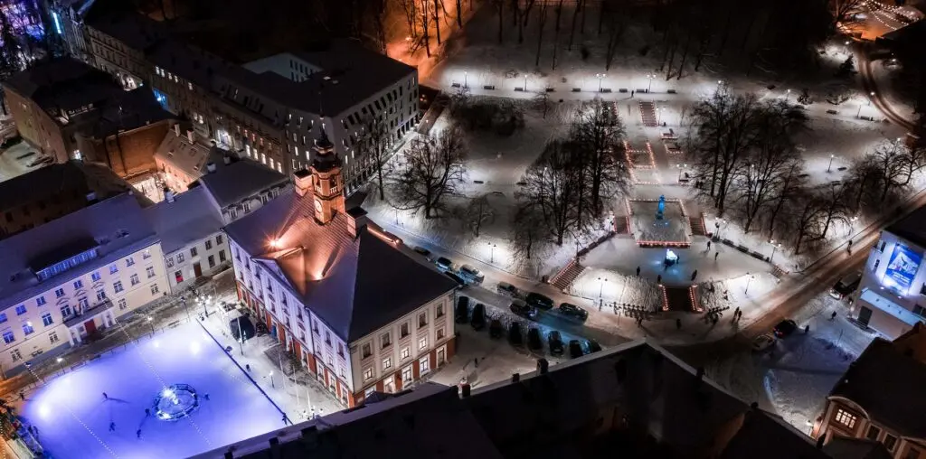 Pirogovi platsile püstitatakse Wiiralti “Lamavast tiigrist” inspireeritud lumeskulptuur