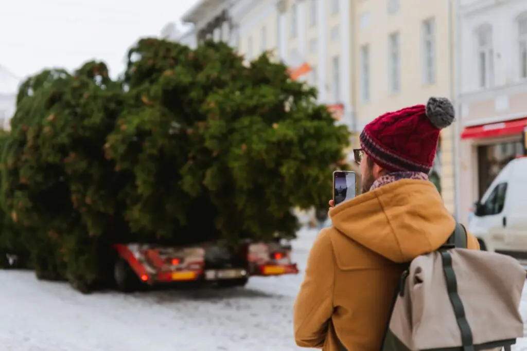 Rosna kula kingitud joulukuusk saabus joululinna 2022 Fotod Helge Kalde 0001