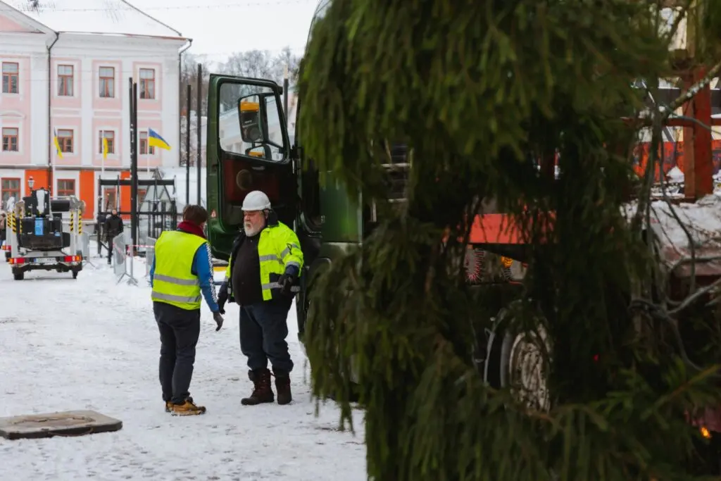 Rosna kula kingitud joulukuusk saabus joululinna 2022 Fotod Helge Kalde 0005