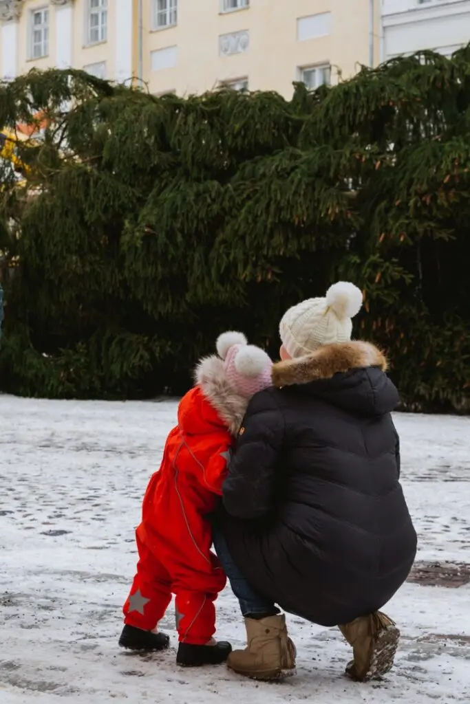 Rosna kula kingitud joulukuusk saabus joululinna 2022 Fotod Helge Kalde 0011