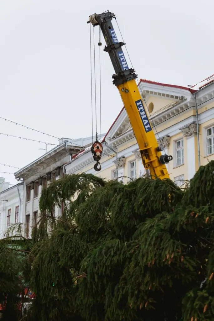 Rosna kula kingitud joulukuusk saabus joululinna 2022 Fotod Helge Kalde 0012