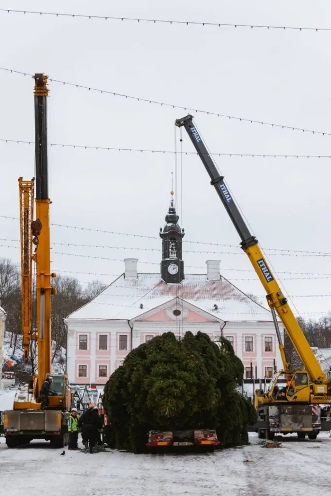 Rosna kula kingitud joulukuusk saabus joululinna 2022 Fotod Helge Kalde 0016
