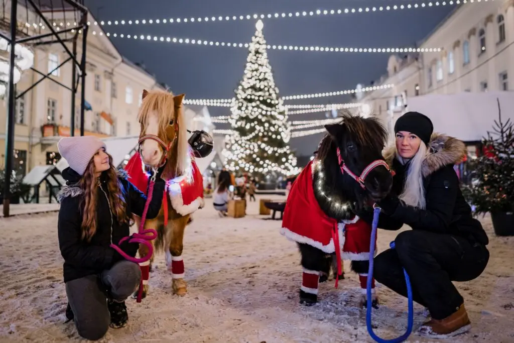 20221205 Mana Kaasik Joululinn 13