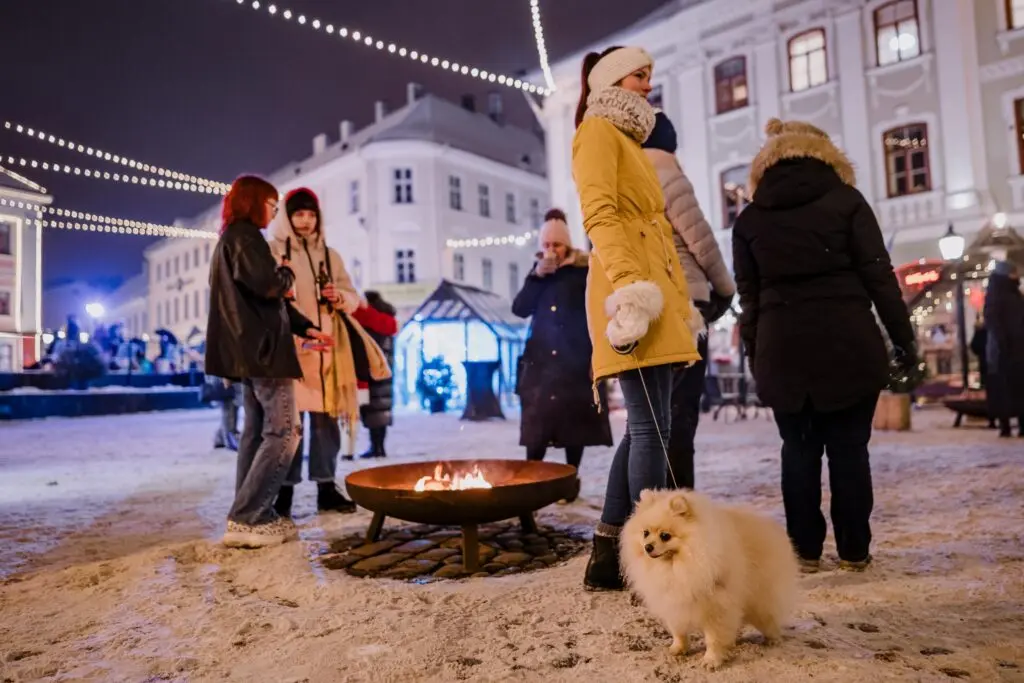 20221205 Mana Kaasik Joululinn 29