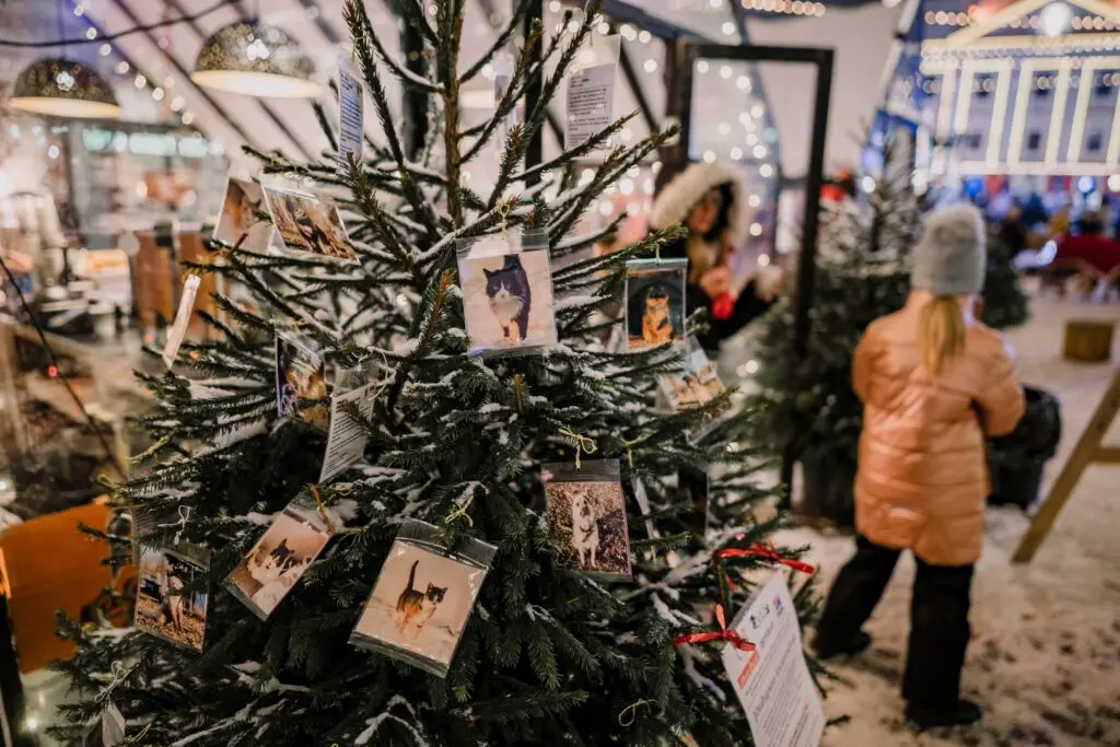 20221205 Mana Kaasik Joululinn 37