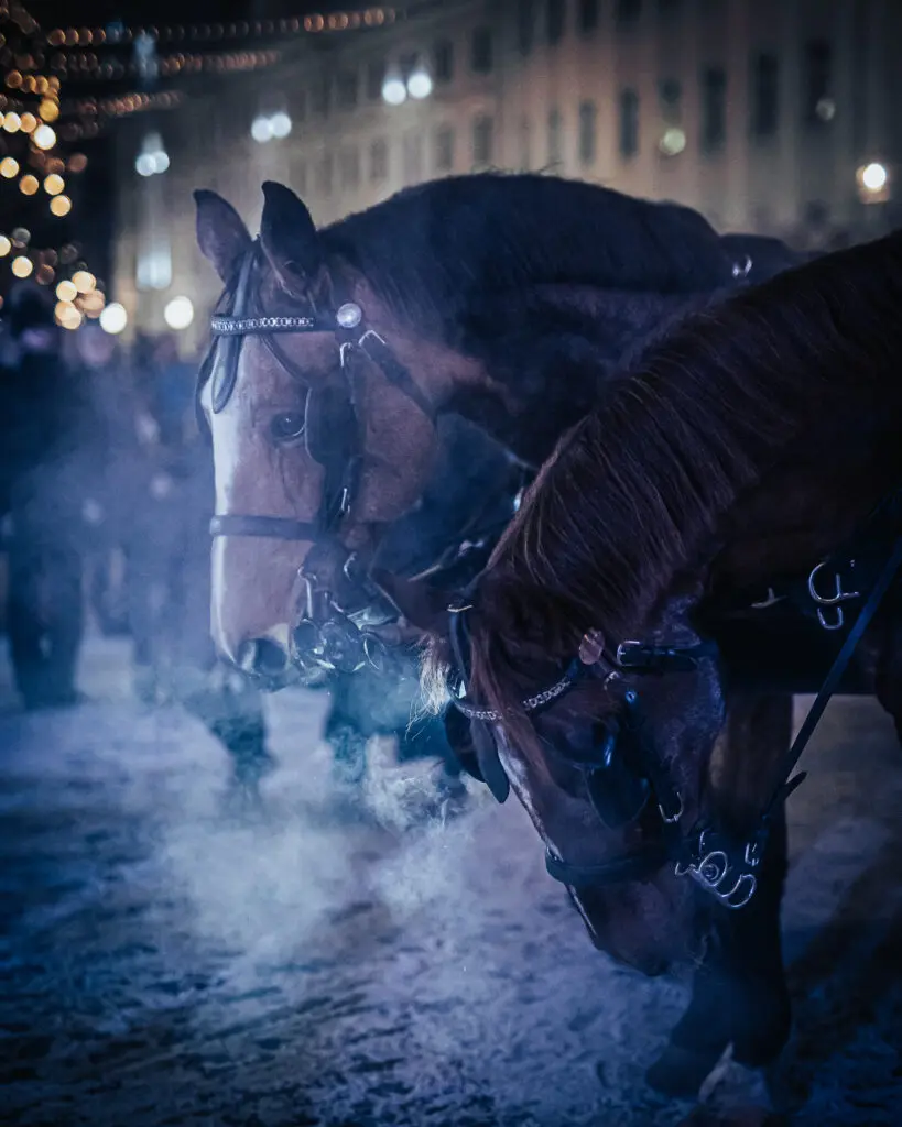 III advent JLT 2022 Foto Peeter Paaver 0025