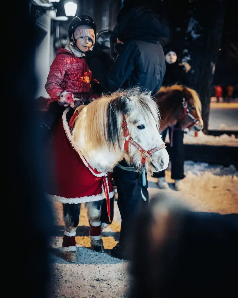 III advent JLT 2022 Foto Peeter Paaver 0032