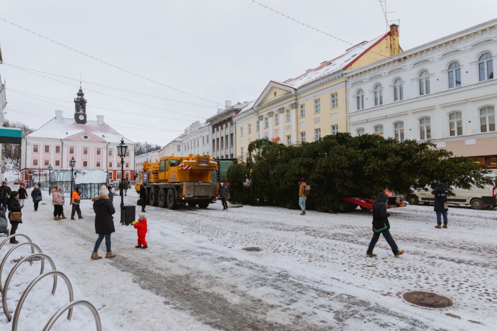 Rõsna küla kingitud jõulukuusk saabus jõululinna 2022 - Fotod Helge Kalde