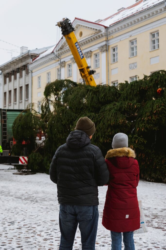 Rosna kula kingitud joulukuusk saabus joululinna 2022 Fotod Helge Kalde 0010