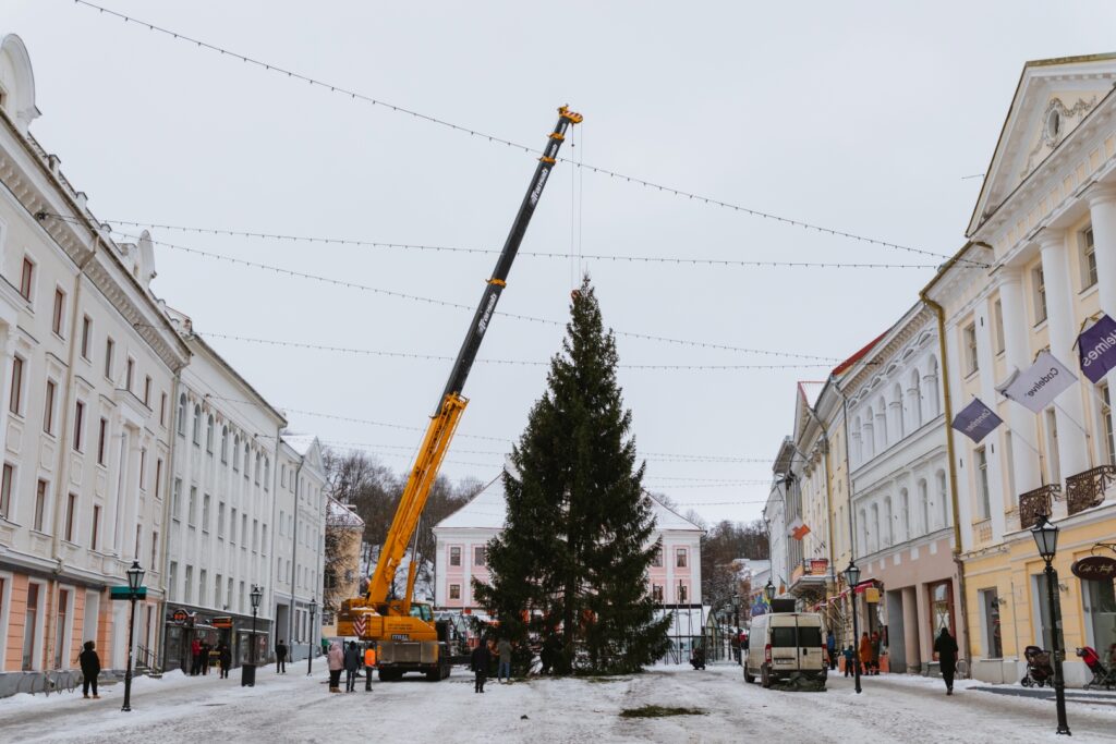 Rosna kula kingitud joulukuusk saabus joululinna 2022 Fotod Helge Kalde 0025